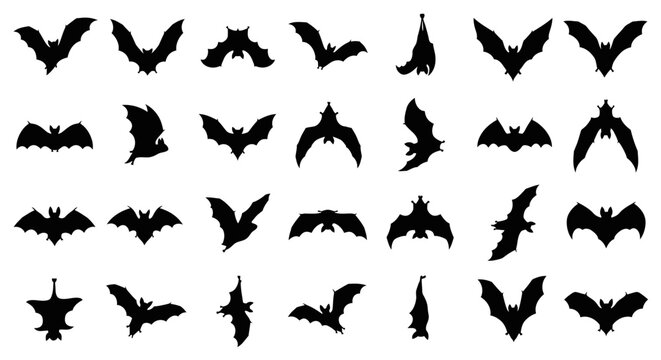 Collection of diverse black silhouette bat icons and symbols for halloween night creatures and mysterious themes isolated on white background flying and perched poses vector