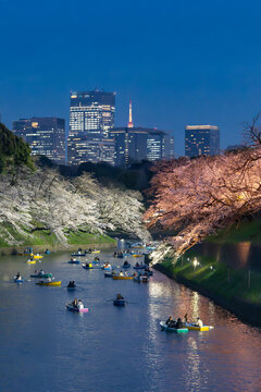 千鳥ヶ淵　夜桜　桜　夜景