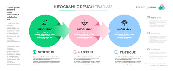 Circle chart infographic template 3 step for theory basic operation, start up project, presentation, business strategy, logic analysis, diagram vector