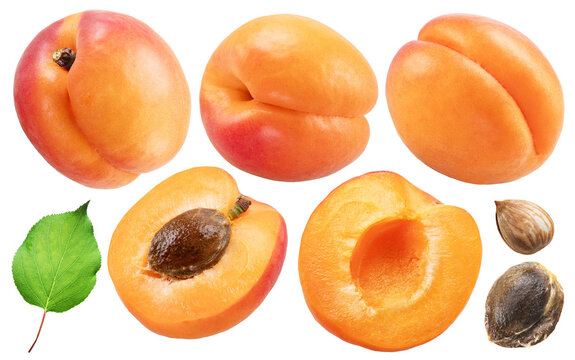 Collection of apricots, apricot slices and pits isolated on white background. File contains clipping paths.