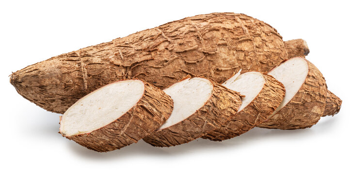 Fresh cassava (manioc) or tapioca roots with sliced pieces isolated on a white background.