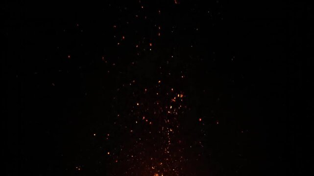 Fireworks exploding in the night sky.