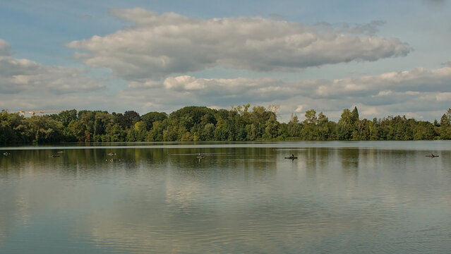 rees and blue sky with cumulus clouds reflecting in the water of Damvallei lake in Gent, Flanders, Belgium