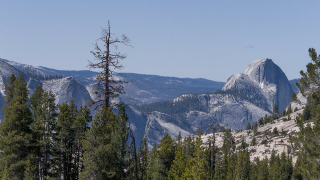 Half Dome Above Forested Valley