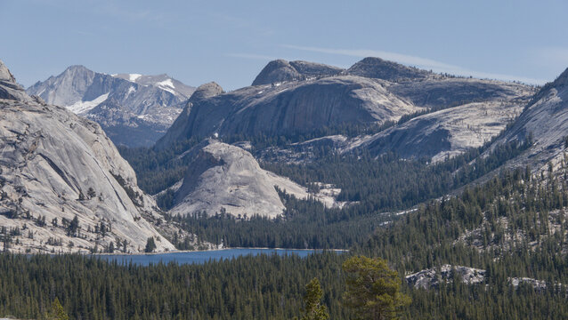 Granite Domes and Forest Panorama