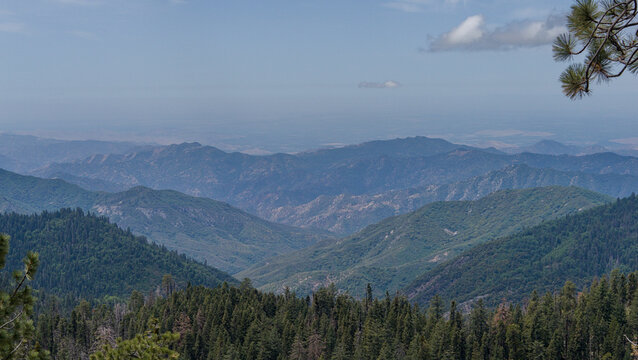 Mountain Range Above Forested Slopes