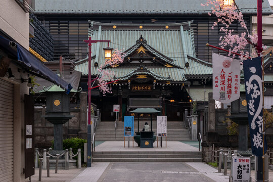桜が彩る日本の寺院参道と本堂の春風景
Japanese temple approach with cherry blossoms in spring