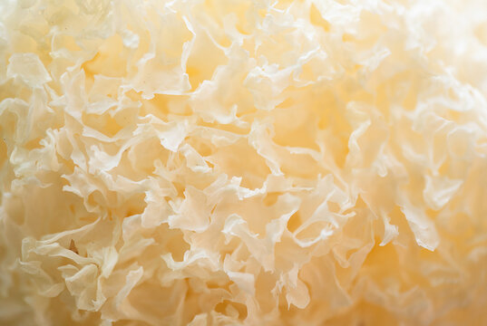 Tremella fuciformis mushrooms on natural background.