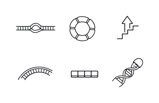 Line style icons of telomerase function elements: RNA template band, protein subunit ring, elongation step marker, telomere