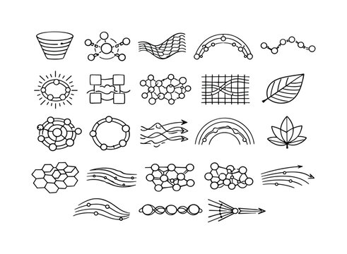 Line style icons of quantum-optimized energy transfer: coherent funnel band, photon relay node, pigment mesh curve, exciton