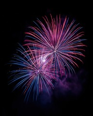 Fototapeta premium Fireworks Celebration Festival Night Color Explosion Light.Colorful fireworks exploding in night sky. Celebration, festival and holiday concept with vibrant light and energy.
