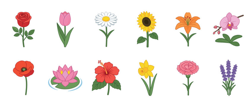 Colorful cartoon flowers collection featuring a variety of popular blossoms like roses, tulips, sunflowers, and lilies in a vibrant illustration.