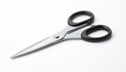 Obraz premium Single pair of kitchen shears