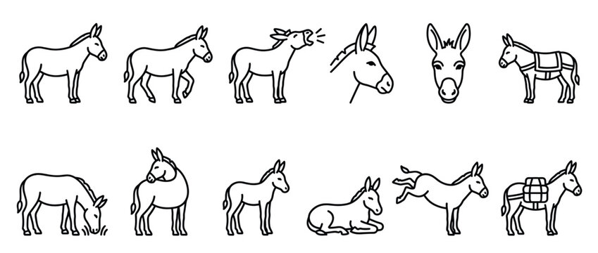 Donkeys vector line icons set depicting various poses and actions of the farm animal, perfect for design elements and educational resources.