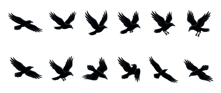 Black crows flying in different positions showcasing various stages of their graceful movement and flight sequence.