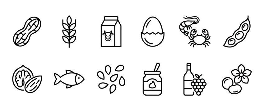 Food allergy icons set featuring common allergens like peanuts, milk, eggs, fish, shellfish, wheat, soy, and tree nuts.