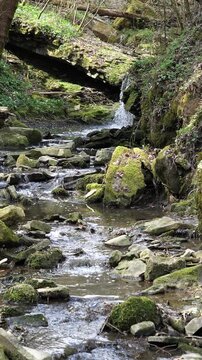 Vertical Slow Motion of Enchanted Forest Waterfall Stream with Crystal Clear Water Flowing over Rocks - Vertical Water In Nature Concept.