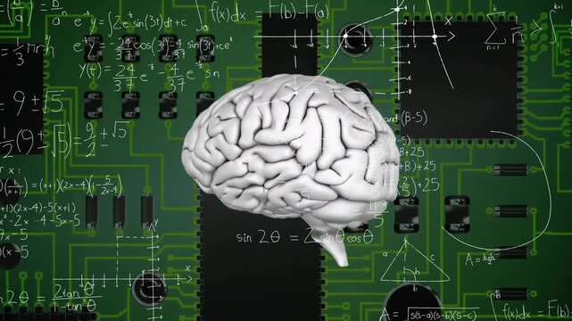 Animation of human brain and mathematical data processing