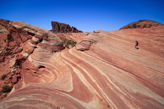Lone hiker walking up the Fire Wave, Valley of Fire State Park, Clark County, Nevada, USA