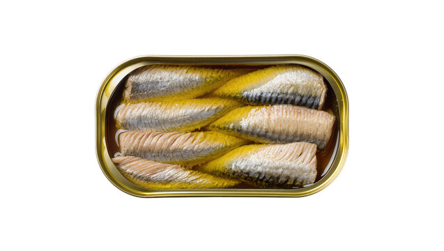 Opened tin can with preserved sardines in oil, isolated on transparent background