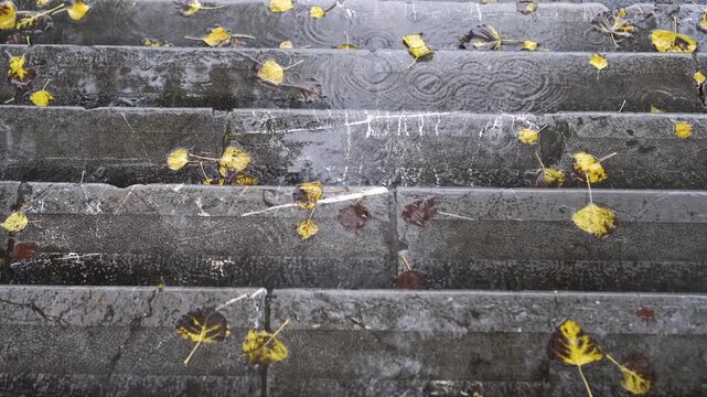 Rain Drops Falling on Stone Stairs with Autumn Leaves Puddle Reflection Seasonal Nature Scene 4K
