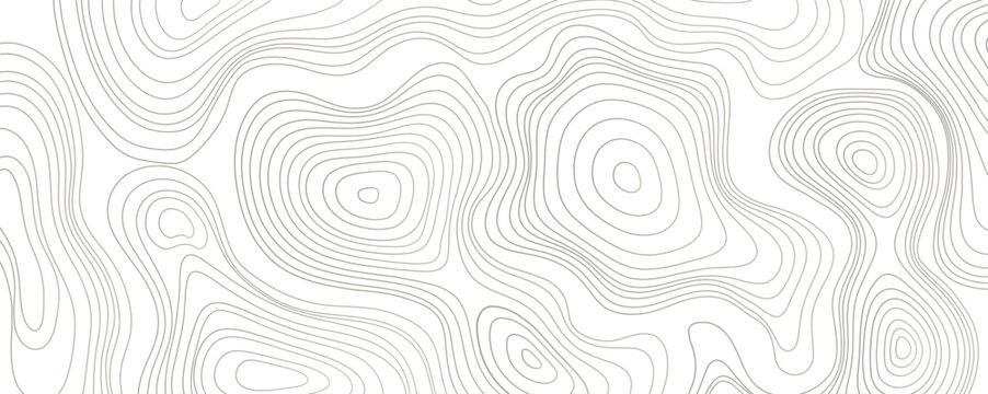 Elegant white  line vector organic pattern in Japanese style, abstract wave water contour, cloud topography premium fancy minimal template.