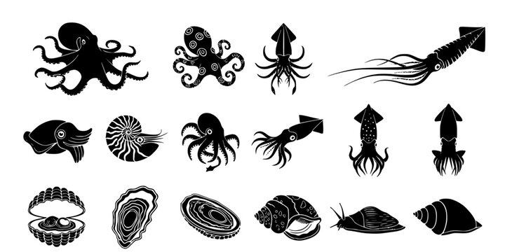 15 Black and White Cephalopod Mollusk Vector Icons Flat Line Art Set