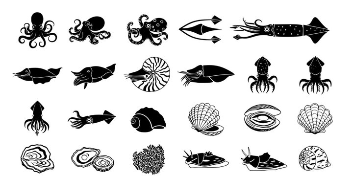 15 Black and White Cephalopod Mollusk Vector Icons Flat Line Art Set