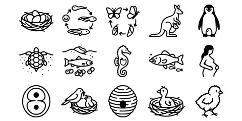 Fototapeta premium 15 Black and White Animal Reproduction Lifecycle Vector Icons Flat Line Art