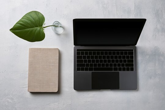 Modern workspace with laptop, notebook, and plant on minimalist desk