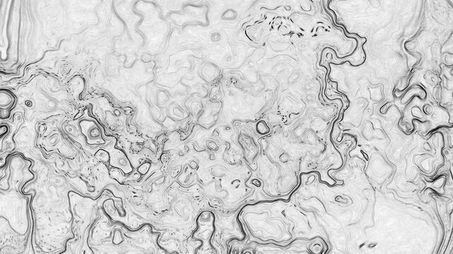 A complex blend of fine black ink outlines and organic shapes. These intricate fluid patterns resemble a detailed topographical map or a microscopic view of natural textures.