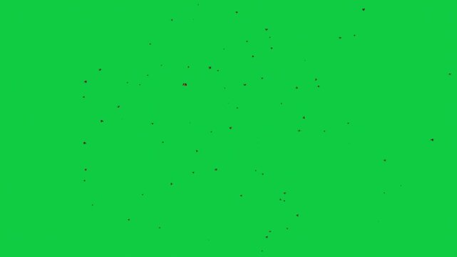 Ladybugs Flying Swarm Overlay Green Screen Background Cinematic VFX Pack &ndash; 5 Shots