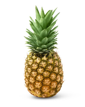 Single whole pineapple or ananas isolated on white background.