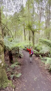 Girl adventurer walks along a wild trail overgrown with tree ferns, heading toward Beauchamp Falls, surrounded by lush vegetation in Great Otway National Park, Victoria, Australia