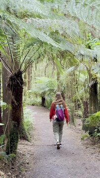 Girl adventurer walks along a wild trail overgrown with tree ferns, heading toward Beauchamp Falls, surrounded by lush vegetation in Great Otway National Park, Victoria, Australia
