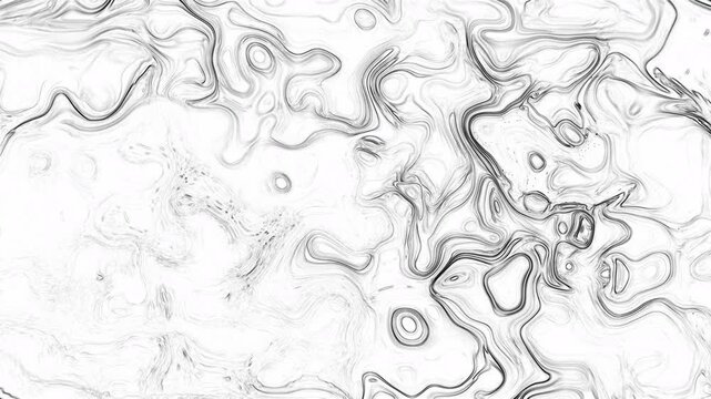 A sophisticated blend of sharp black ink lines and white spaces. These intricate fluid patterns resemble a detailed monochromatic marble texture or a hand-drawn topographical map.