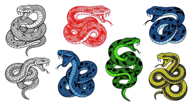 Collection of Colorful Snake Illustrations with Fangs and Forked Tongues