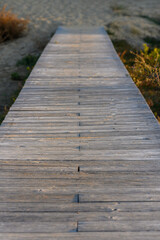Fototapeta premium A tranquil wooden walkway leading into nature at sunset by the riverside invites peaceful contemplation.