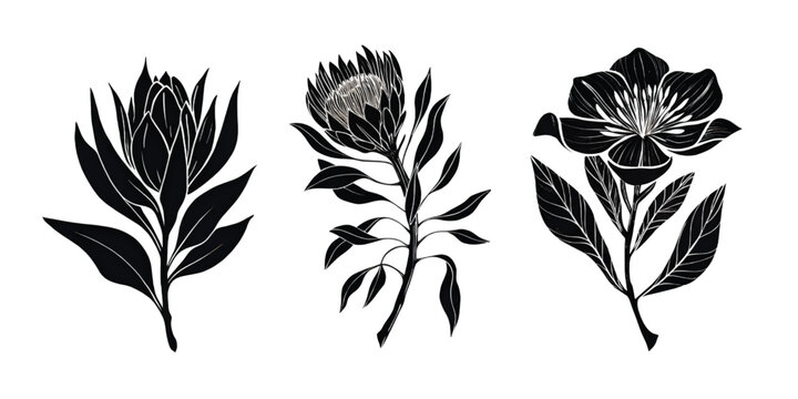 Three stylized black and white botanical thistle flowers in profile view