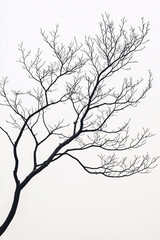 Fototapeta premium Graphic silhouette of a bare tree branch in stark winter