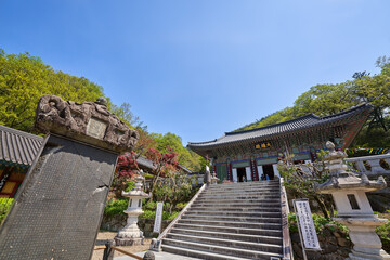 Obraz premium Striking views of Ssanggyesa Temple in Hadong, South Korea, featuring the grand main hall, an ancient stone stele, and intricate, colorful Dancheong roof eaves against a clear blue sky in spring.