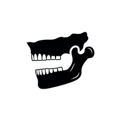 Human Jawbone Anatomy Illustration. © Romlah