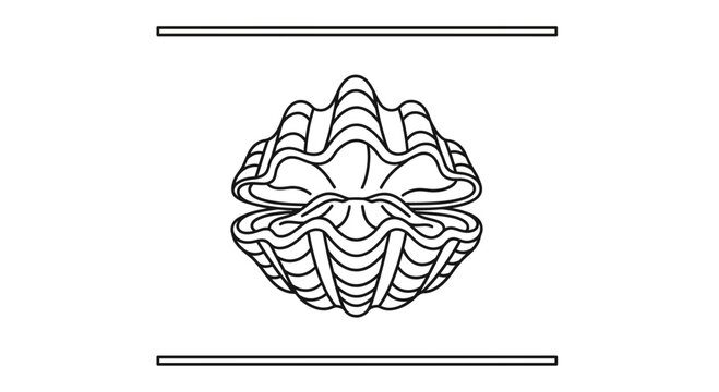 Elegant line art illustration depicting an open clam or oyster shell marine invertebrate graphic