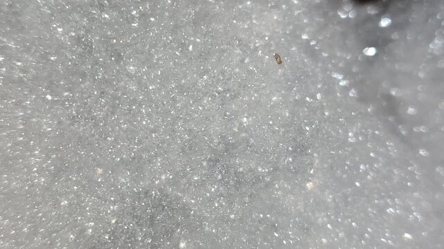 Soap foam bubbles forming abstract texture pattern, showing clean surface and washing concept in close-up view.