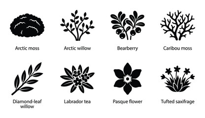 Arctic flora and fauna inspired plant silhouettes and icons, including mosses, berries, flowers, and willow branches © GoDesigner