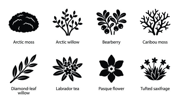 Arctic flora and fauna inspired plant silhouettes and icons, including mosses, berries, flowers, and willow branches