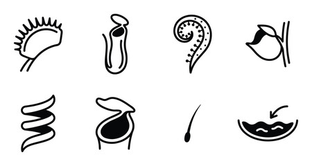 Carnivorous plants line icons set featuring venus flytrap pitcher plant and exotic flora silhouettes © GoDesigner