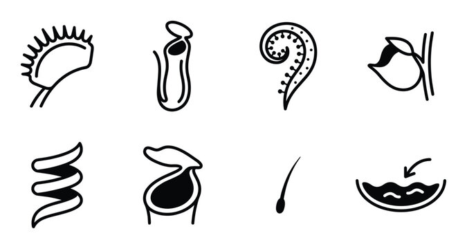 Carnivorous plants line icons set featuring venus flytrap pitcher plant and exotic flora silhouettes