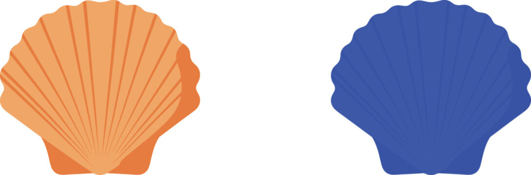 Orange and blue scallop shells ocean