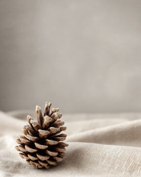 Pine cone frosted natural brown rustic textile linen neutral soft light minimal decor peaceful still life